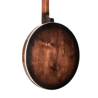Gold Tone BG-150F: Bluegrass Banjo with Flange and Bag image 10