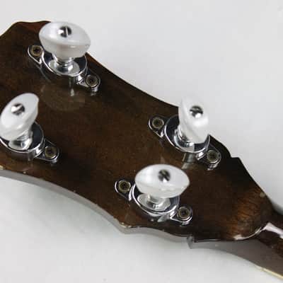 Vintage Brazos Custom Made 5-String Banjo Closed Back 24 Brackets Japan #ISI1490 image 12