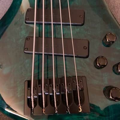 Roscoe Custom-5 String Fretless Bass image 8