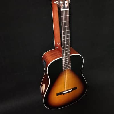 6 Strings Classical/ 6 Strings Acoustic Double Neck, Double Sided Busuyi Guitar PS66 2020