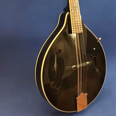 Ashbury Mandolin w/Case image 1