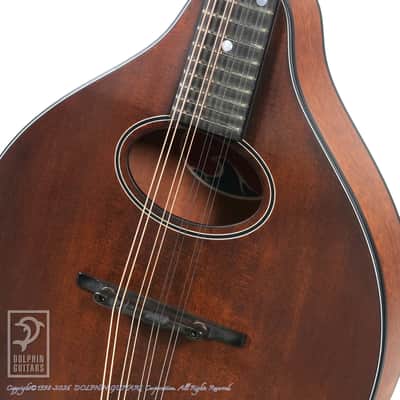Eastman PCH-M104 image 11