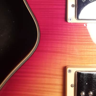 Arbor AP 230 –Les Paul-style – Low Action, Great Tone – Gorgeous Cherry Sunburst image 4