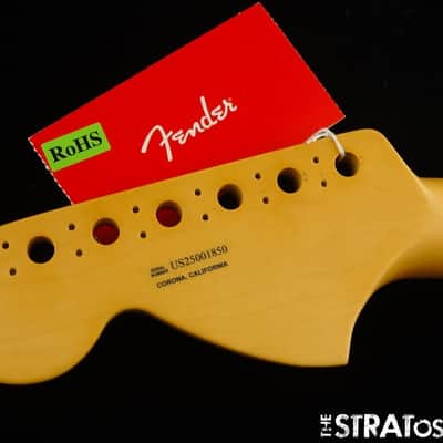 Fender American Professional II Tele Deluxe NECK, Deep image 6