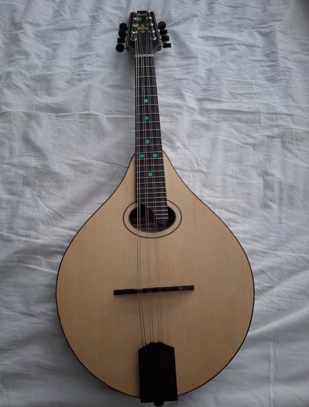 Stunning Australian Hand-Made Mandolin image 1