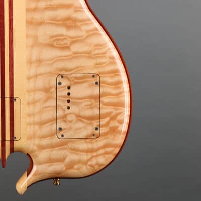 Alembic Series  II Five String Fretless Active Bass image 13