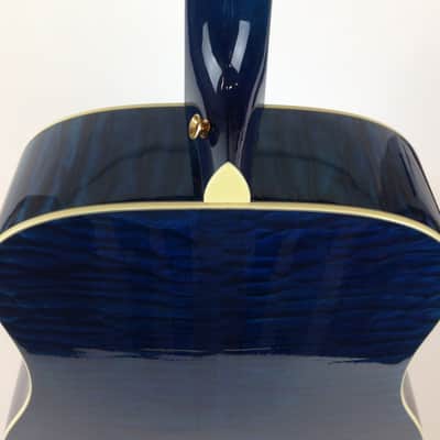 Taylor Custom 6 String Guitar GSLJ Koi Living Jewel Enlay Limited 65 of 100  with Original Hard Case image 7