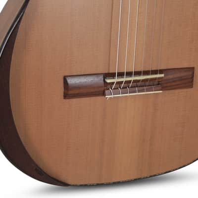 Manuel Rodriguez D-C MAGISTRAL Series All Solid 4/4 Size Armrest Solid Cedar Top Nylon 6-String Classical Acoustic Guitar image 5