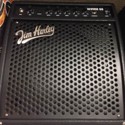 Jim Harley Reverb 30 Amplis combos à transistors pour guitare image 6