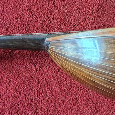 CATANIA SILVESTRI Sicilian concert mandolin with modern fretboard  1900s image 5