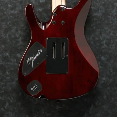 Ibanez KIKO10BP-TGB Kiko Loureiro Signature Electric Guitar 6-String - Transparent Grey Burst + Gig Bag image 5
