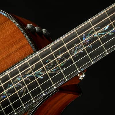 Taylor PS12ce 12-Fret - Honduran Rosewood/Sinker Redwood image 10