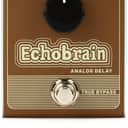 TC Electronic Echobrain Analog Delay Pedal