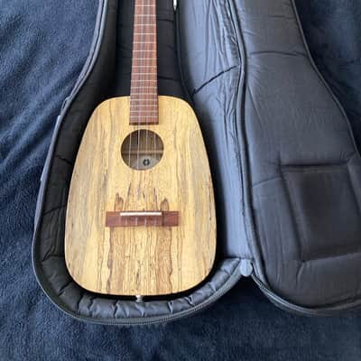 Immagine David Iriguchi Tenor Pineapple Ukulele with Case - 22