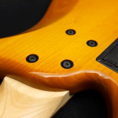 G.Gould GGi5 SST Hybrid Graphite/Maple Composite neck - Alder body - Amber finish - Pao Ferro Fretboard - 8.6 pounds - #1513 image 9