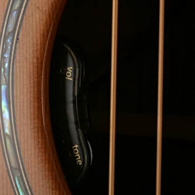 Avalon ARDRI L1 350C Guitar #2454 image 6