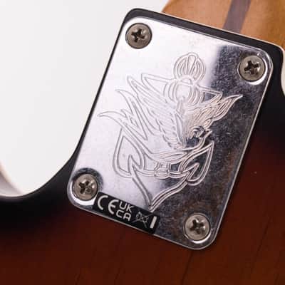 Fender Jason Isbell Signature Telecaster Custom 2026, 3636gr image 12