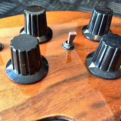 Alembic EVH-4 Signature Deluxe 1990 Walnut image 9