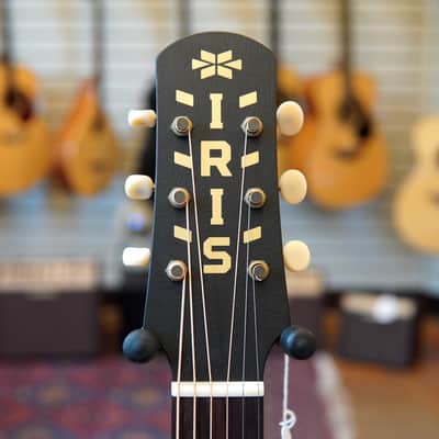 Iris Guitars AB Model Sitka Spruce/Mahogany Jumbo Acoustic Guitar Sunburst w/Hard Case image 7