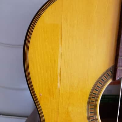 Giannini GN60 - 1960's nylon classical guitar - Brazilian image 14
