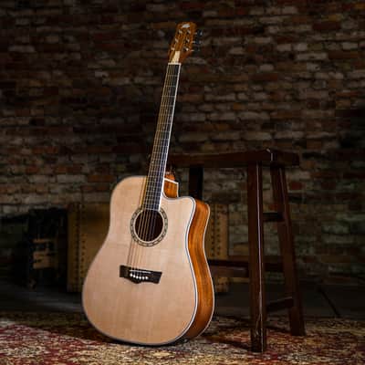 Peavey Delta Woods DW-2 CE Electro-Acoustic Guitar image 2
