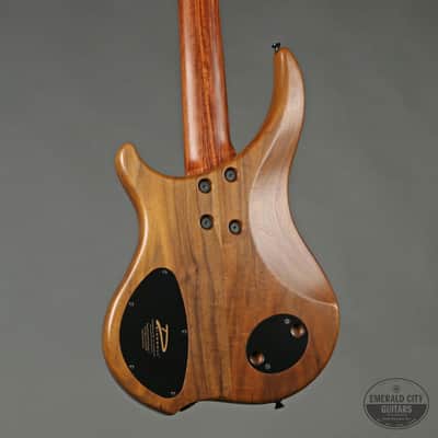 Dingwall Afterburner 5-String Bass image 2