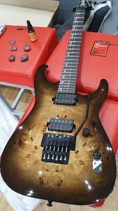 ESP LTD ESP LTD H-1001FR Black Natural Burst - Natural burst image 1