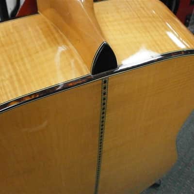 Hohner HG340 Limited Edition Acoustic Guitar image 4