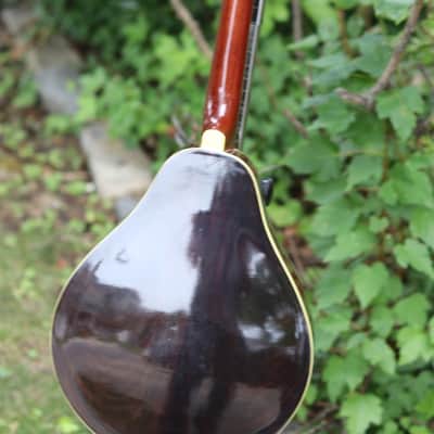 Epiphone mandolin 1970's - natural image 10
