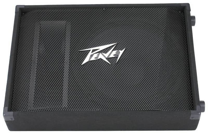 Peavey PV 15M 15" Floor Monitor image 1