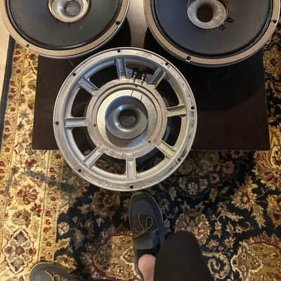 Peavey/JBL Hybrid BW/D120 image 2