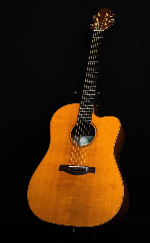 1995 Custom Brazilian Rosewood Adirondack Spruce Dreadnought Acoustic Guitar image 1