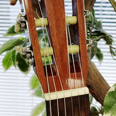 Enrique Tapicas C40 Cadiz Classical Guitar by Washburn - Natural image 7