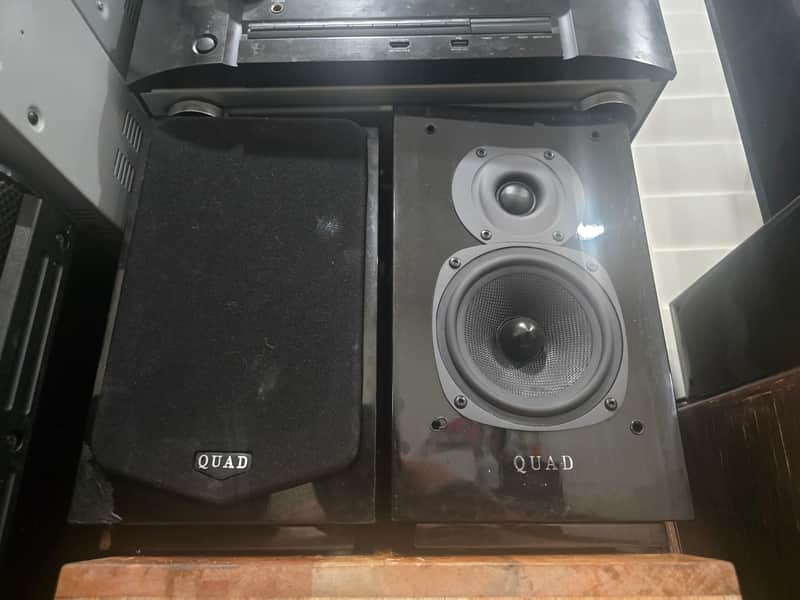 Quad 11/2L - Gloss image 1