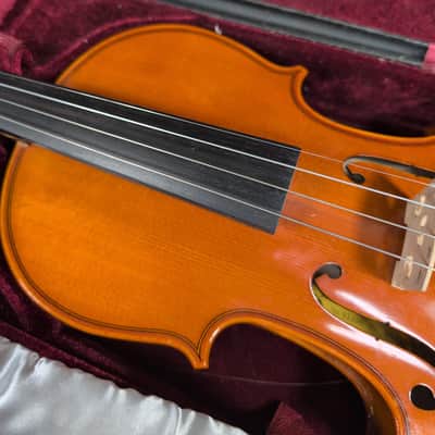 Eastman VL100 2013 - Narural image 3