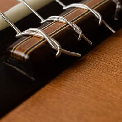 Made to order Handmade Guitar Crossover Solid Woods Brazil French Polish image 6