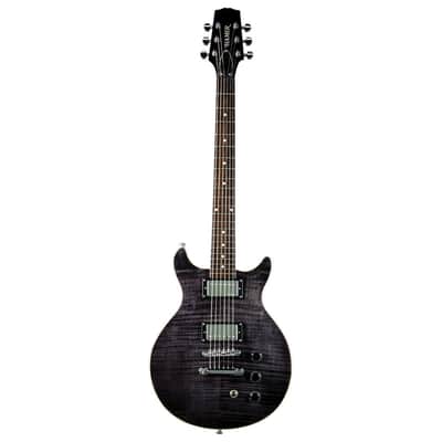 Hamer Archtop - Transparent Black image 2