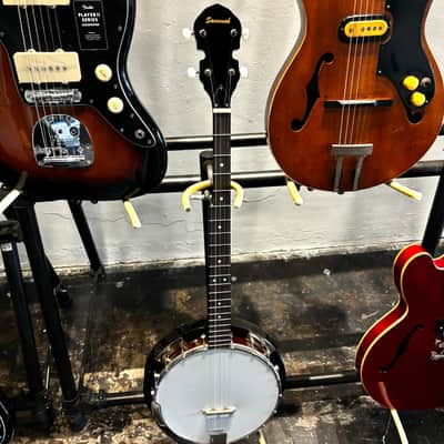 Savannah Resonator Banjo - 5 String Banjo - Sounds and Looks Great image 4