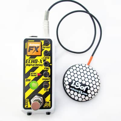 Rainger FX Echo-X Mini Digital Delay w/ Igor Pressure Pad