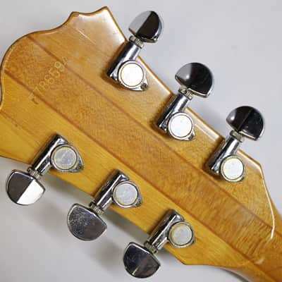 Ibanez MC200-DS Musician 1978 - Dark Stain **Amazing Upgrades** image 18