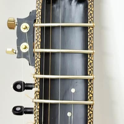 TRAVEL SITAR- HARD CASE INCLUDED image 3