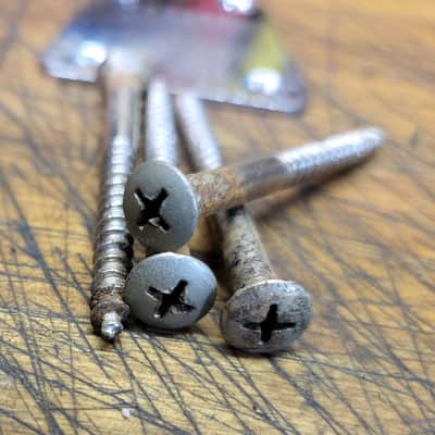 1960's Vintage RARE 4 Bolt Electric Guitar Bass Neck Plate Screws Luthier Parts image 5