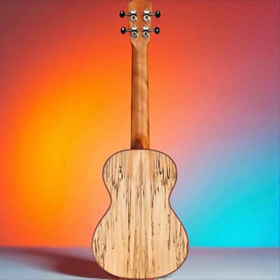 Cordoba 24T Spruce Spalted Maple Tenor Ukulele, Rich Tone & Stunning Looks image 5