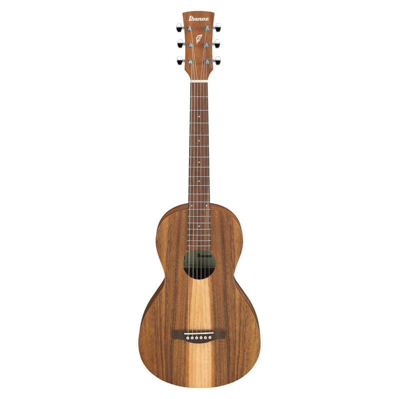 Ibanez PN2WS Performance image 1
