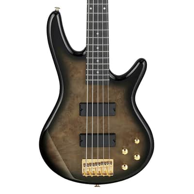 Used Ibanez GSR205PCTPB Gio SR 5-String Bass - Transparent Pale Black Burst image 1