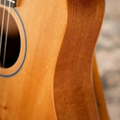 Taylor BT2 Baby Taylor Acoustic Guitar with Gig Bag image 12