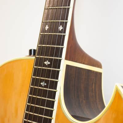 Washburn Tanglewood - Natural Rose Wood image 6