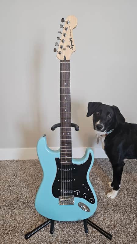 Squier Bullet Stratocaster HT W/ Seymour Duncan Pickups image 1