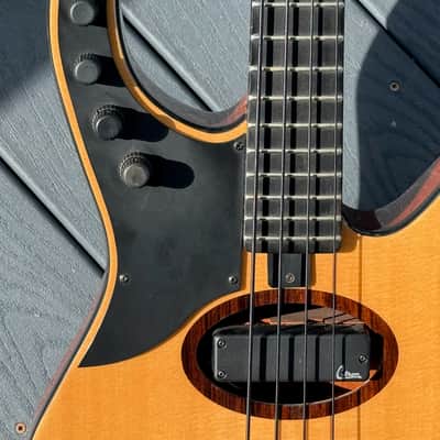 Citron AE-4 Swallow Bass 2009  - killer all around invention from Harvey Citron of Velette-Citron Basses. image 12