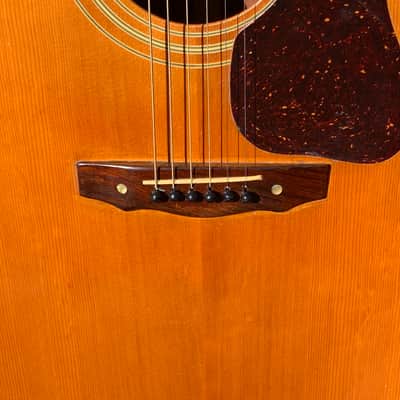 Guild D-40c-NAT 1970s Natural Rare 1st Dreadnaught Cutaway image 4